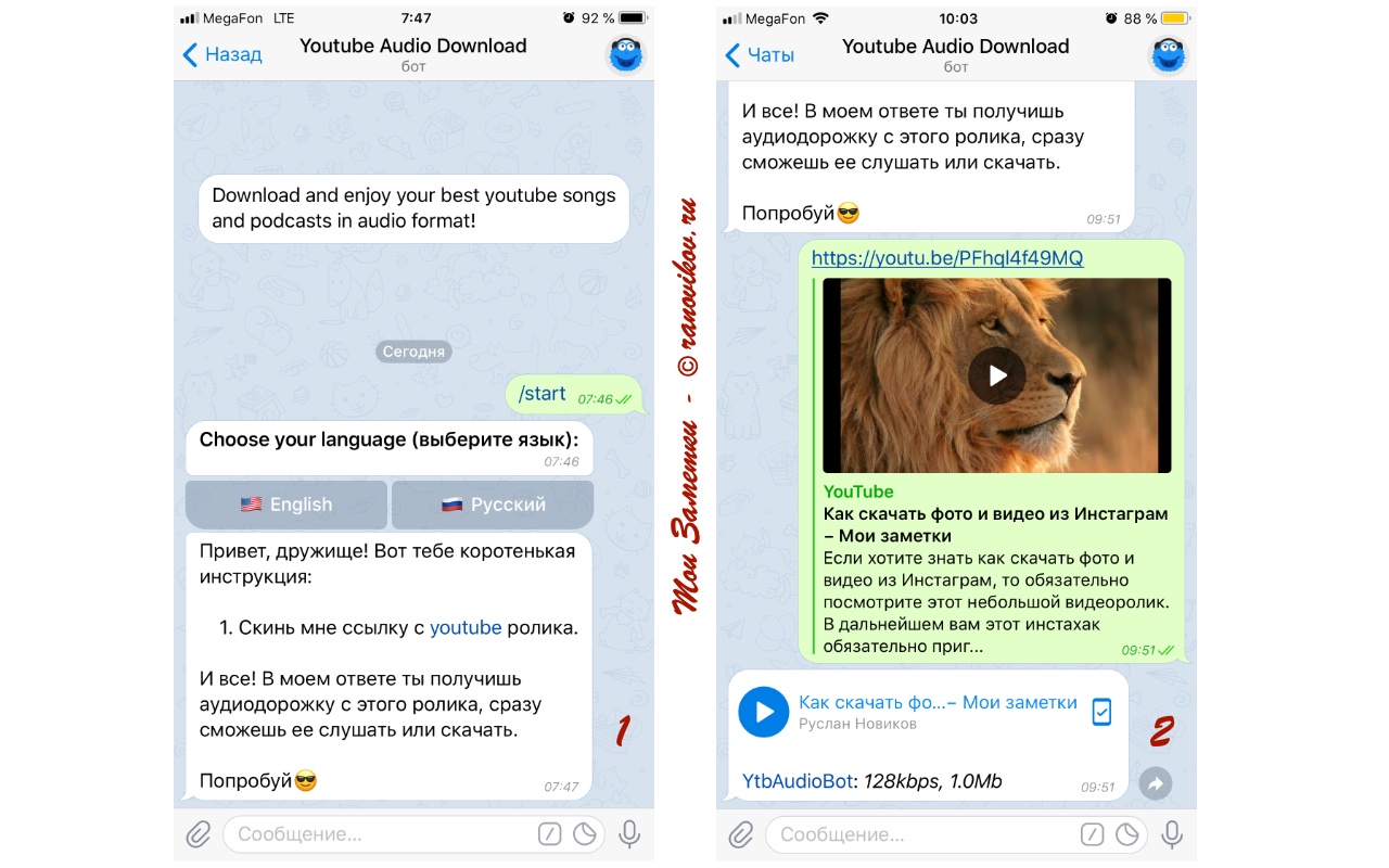 Как скачать аудио из видео с YouTube через Telegram скрин - Мои заметки